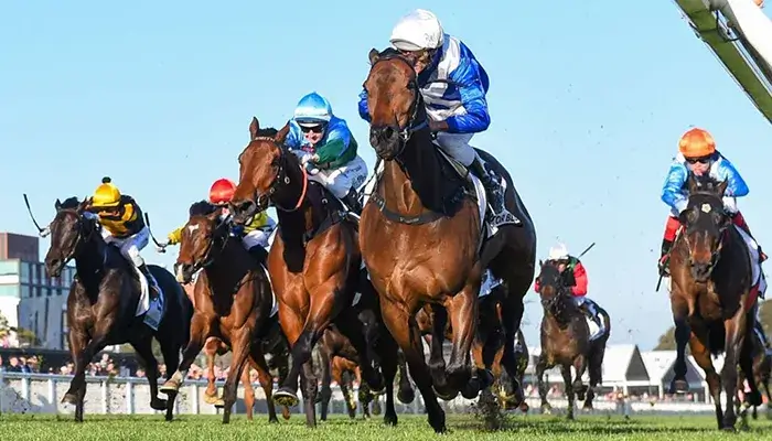 Latest Underwood Stakes News