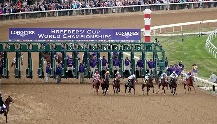 start of breeders cup race
