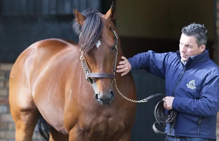 owner with a horse